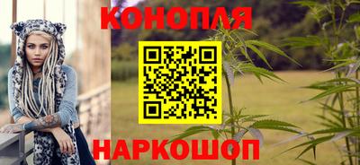 мет Гай