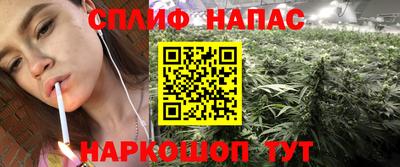 винт Гатчина