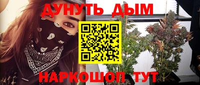 винт Гатчина