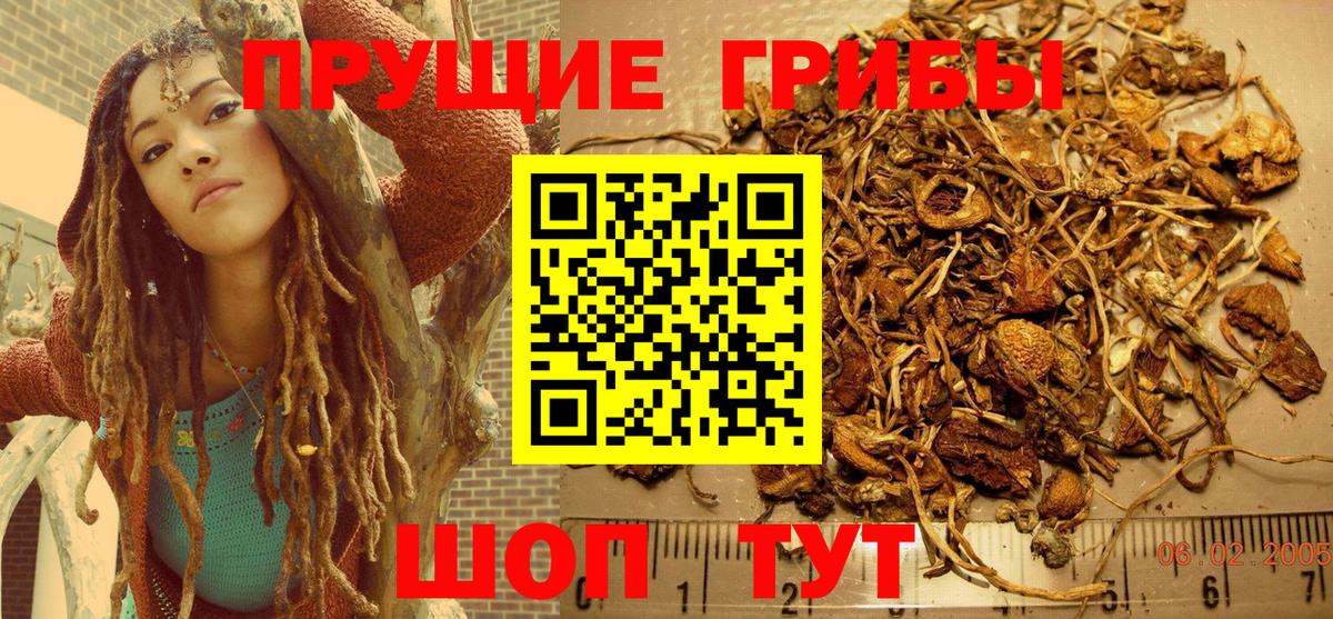 Обнинск  Псилоцибиновые грибы ЛСД  Вход с VPN 